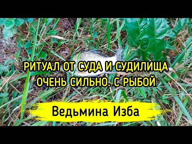 ОТ СУДА И СУДИЛИЩА. ОЧЕНЬ СИЛЬНО. С РЫБОЙ. ВЕДЬМИНА ИЗБА ▶️ МАГИЯ