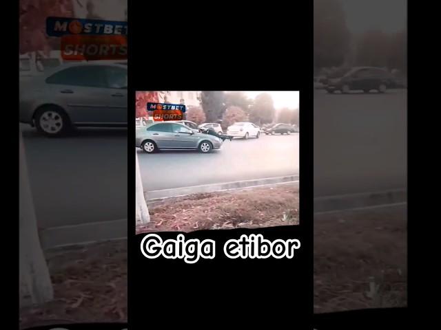 #gai ga #etibor #tiktok #yesboss #рекомендации #reels #qizlar #zapal #musofir #uzbekistan #qizim