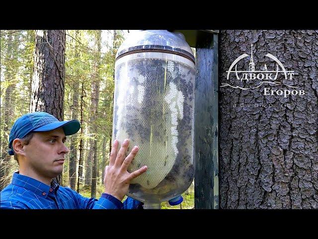 Bottle-to-Bottle Honey Production | Contactless Beekeeping