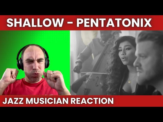 GOLD but Black and White??? [Pentatonix Reaction to Shallow]