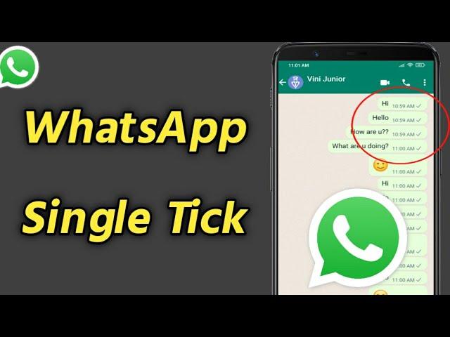 WhatsApp Single Tick Only | How to Show One Tick on WhatsApp | WhatsApp No Double Tick Settings