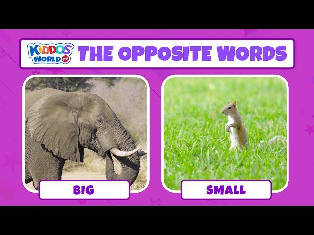 Learn The Opposites Words in English using Video Comparisons