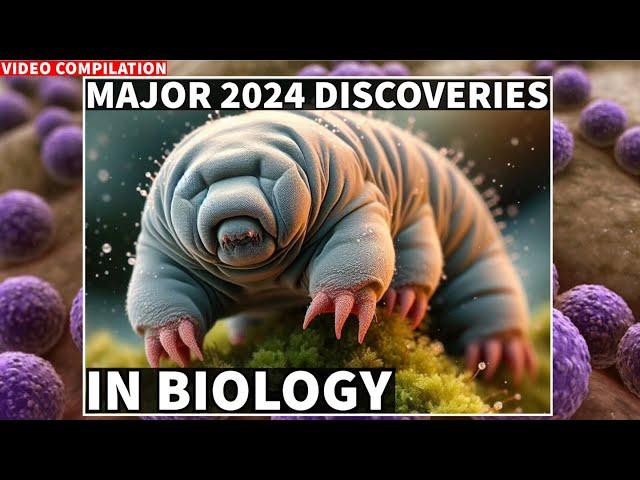 Major Scientific Discoveries In Biology in 2024, Video Compilation