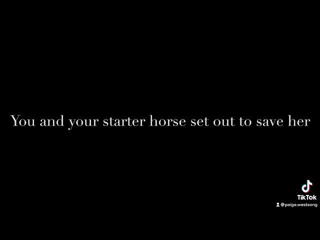 Pov: You couldn’t save everyone… Star Stable Online POV