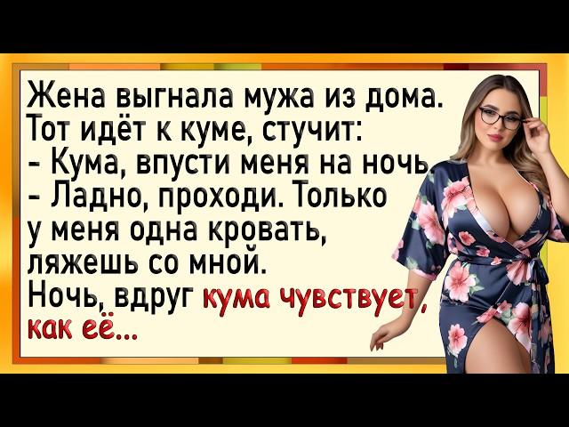 Как жена выгнала мужа, а кума пригрела! Сборник свежих анекдотов! Юмор!