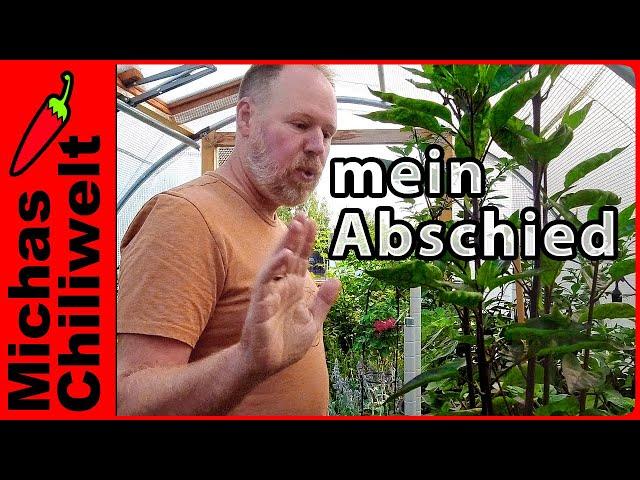 Abschied von den Chilis  |  Update #chilichallenge2024  |  Ergebnisse