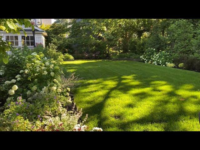  Open Lawn Garden Tour ~ Privacy Hedge ~ Y Garden 