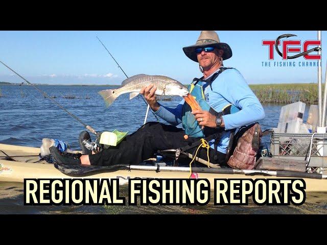 NC Inshore Fishing Report w/ Tim “NCPierman” Taramelli - February 2023