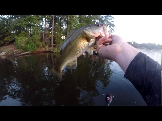 Labor Day Bass Fishing Lake Murray 2020