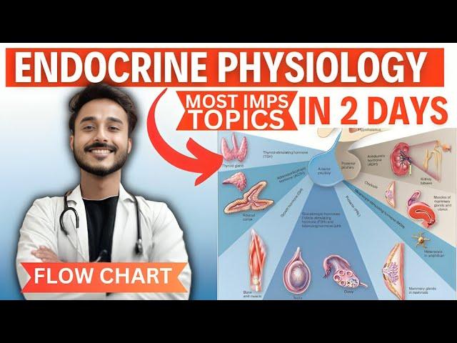 endocrine physiology in 2 days | how to study endocrine physiology important topics