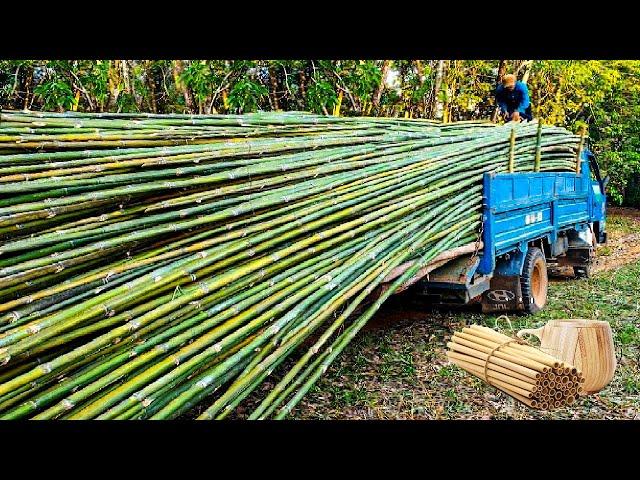 How to Processing Millions Bamboos to Product - Straws, Bamboo Houses, Plywood, Chopstick Factory