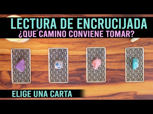 ¿Qué camino tomar? - Lectura de ENCRUCIJADA 