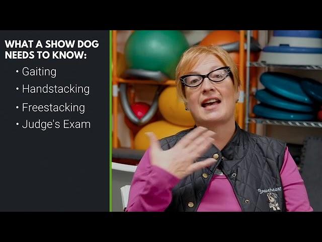 What a Show Dog Needs to Know