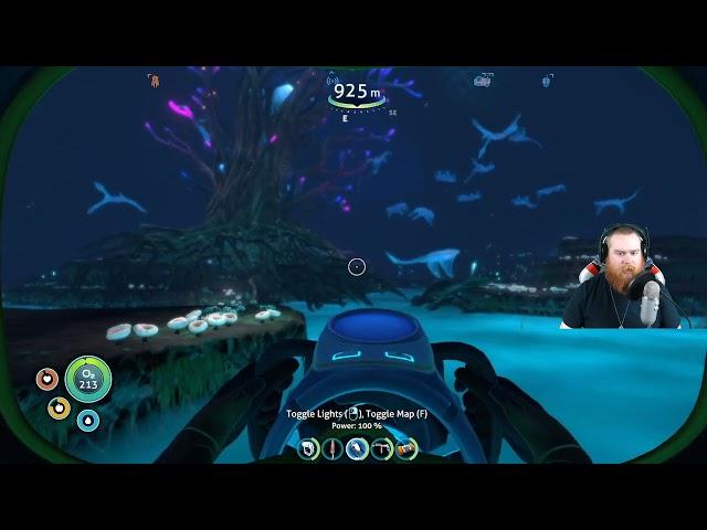 Where is Nickel in Subnautica?