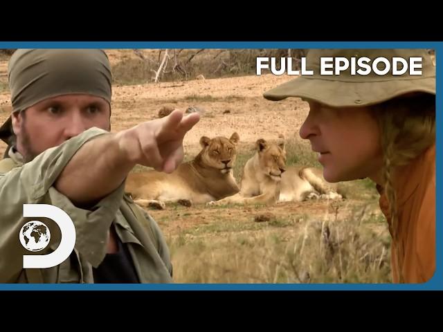 Dave & Cody Face Africa’s Deadly Wildlife, Harsh Environments & Poachers | Dual Survival