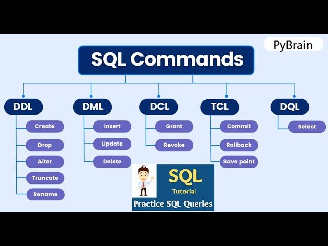 All Types of SQL Commands with Syntax & Example | DDL, DQL, DML, DCL, TCL | Learn SQL Commands Types