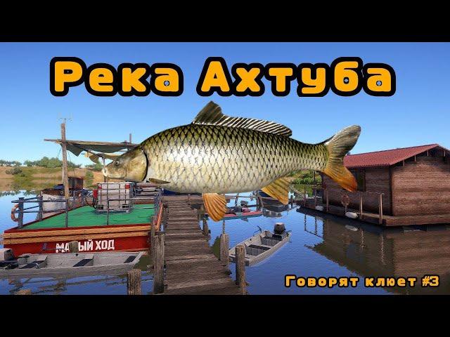 Раздача Сазана\Р. Ахтуба\Говорят клюет #3\РР4\РУССКАЯ РЫБАЛКА 4