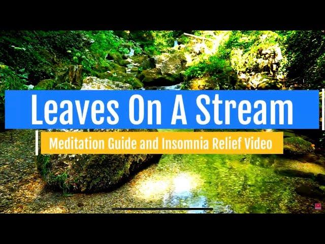 Leaves On A Stream Meditation Guide and Insomnia Relief with Captions