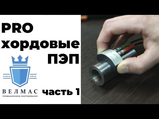 PRO хордовые ПЭП часть 1