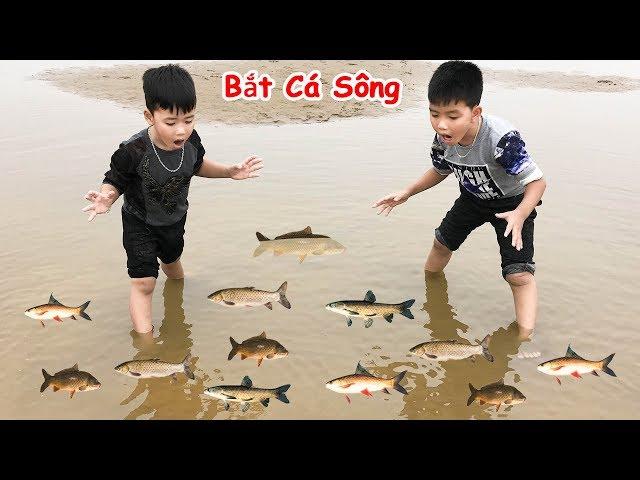 Trò Chơi Bắt Cá Thật Dưới Sông  Min Min TV Minh Khoa