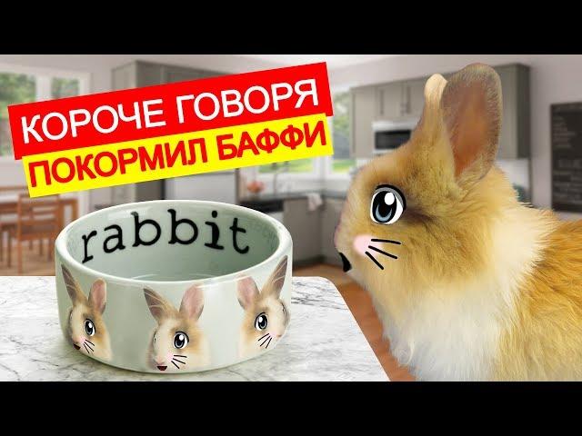 УТРО КРОЛИКА БАФФИ. КОТ МАЛЫШ И КОШЕЧКА МУРКА смеялись. короче говоря покормил Баффи