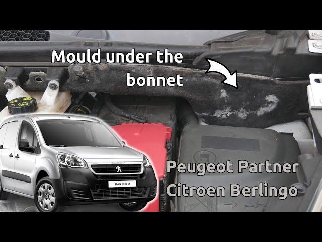 Mould under the bonnet in a Peugeot Partner/Citroen Berlingo