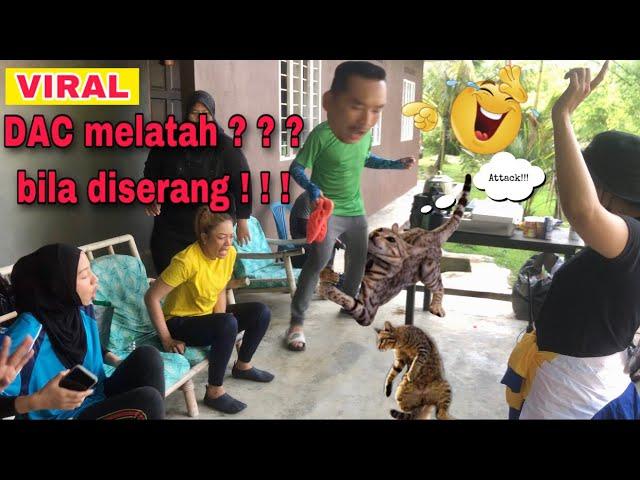 DAC melatah bila diserang??? | Geng Latah | behind the scene #melatah #fyi #opocotmelatah #lawak