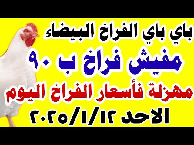 اسعار الفراخ اليوم/ سعر الفراخ البيضاء اليوم الاحد 2025/1/12 في مصر جمله وقطاعي