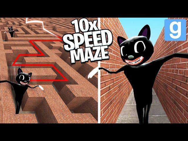 Cartoon Cat... but 10x FASTER in a MAZE! (Garry's Mod Sandbox) | JustJoeKing