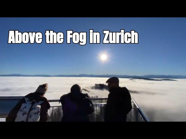 Experience the BEST Kept Secret of Uetliberg Switzerland!