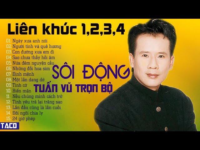 LK NGÀY XƯA ANH NÓI | LK TUẤN VŨ SÔI ĐỘNG 1,2,3,4 TRỌN BỘ | ĐỈNH CAO NHẠC VÀNG TRỮ TÌNH HẢI NGOẠI