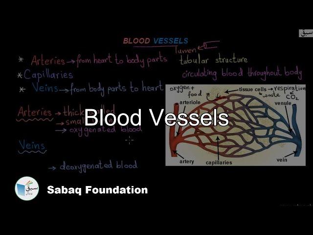 Blood Vessels, General Science Lecture | Sabaq.pk