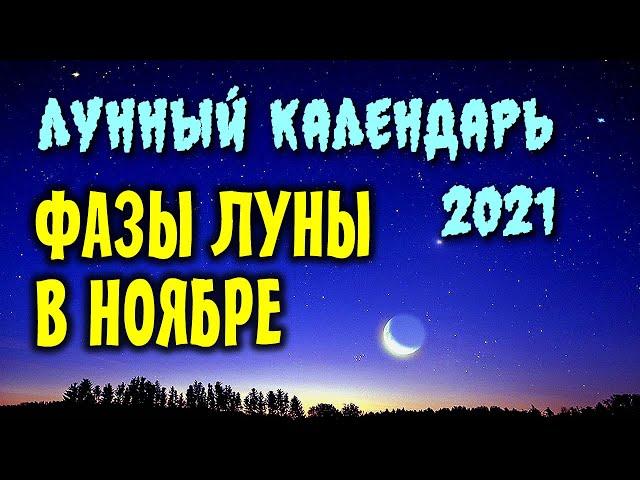 Луна в НОЯБРЕ 2021. Фазы. Когда лучше стричь волосы, благоприятные дни.