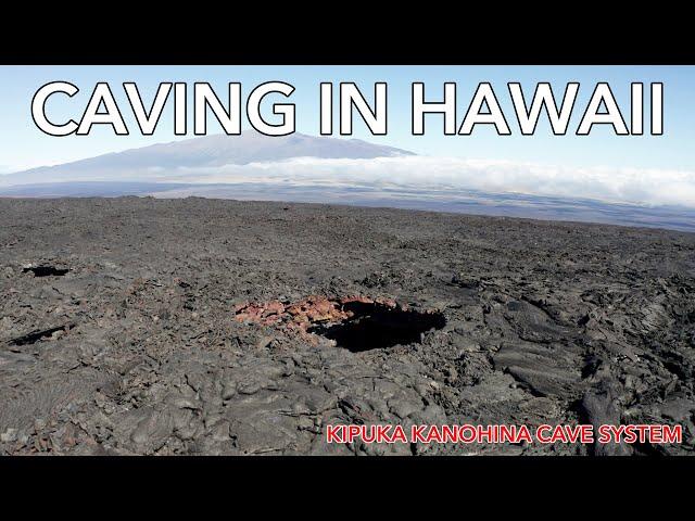 Exploring the Kipuka Kanohina Cave System on Hawaii