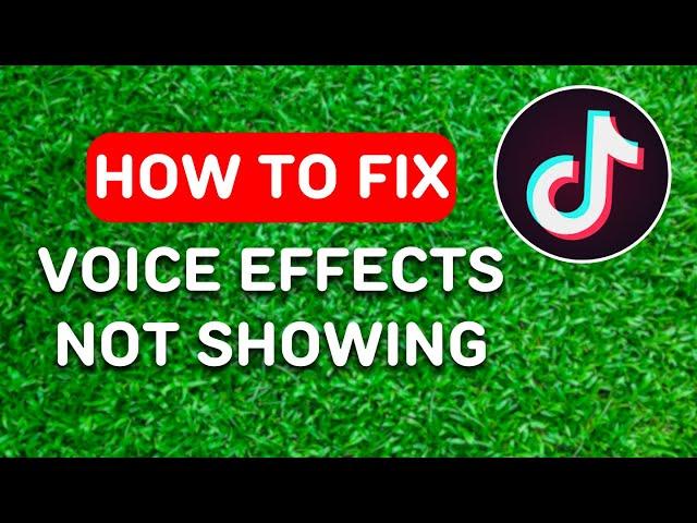 How to Fix Tiktok Voice Effects Not Showing (2024) - Full Guide