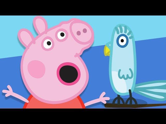 Peppa Pig Season 1 Episode 4 - Polly Parrot - Cartoons for Children