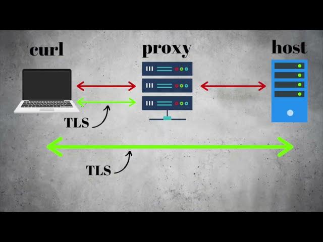 cURL TLS 1.3 session ticket proxy host mixup Vulnerability