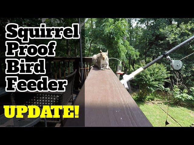 Squirrel-Proof Bird Feeder Update!!