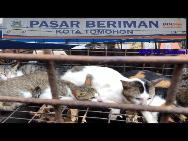 Pasar extreme Tomohon, Jual Daging Anjing, Kucing, Tikus, dll.