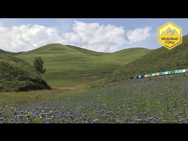 В.Г. Кашковский " Ответы на вопросы пчеловодов" 03.04.2019