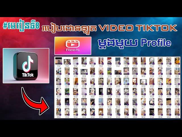 #មេរៀនទី8 របៀបដោនឡូត VIDEO ចេញពី TikTok ម្តងមួយ Profile/How to download video from Tiktok