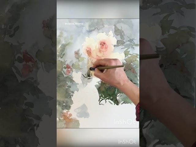 Watercolor / Roses. #watercolor #aquarelle #art #painting #watercolourpainting