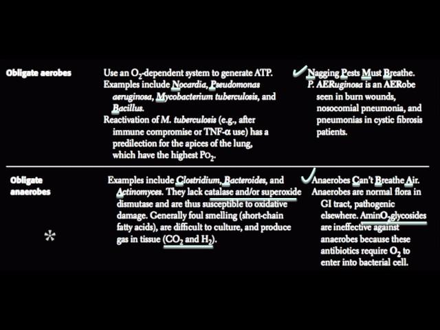 Obligate aerobes and Obligate anaerobes [USMLE]