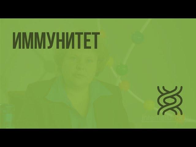 Иммунитет. Видеоурок по биологии 8 класс