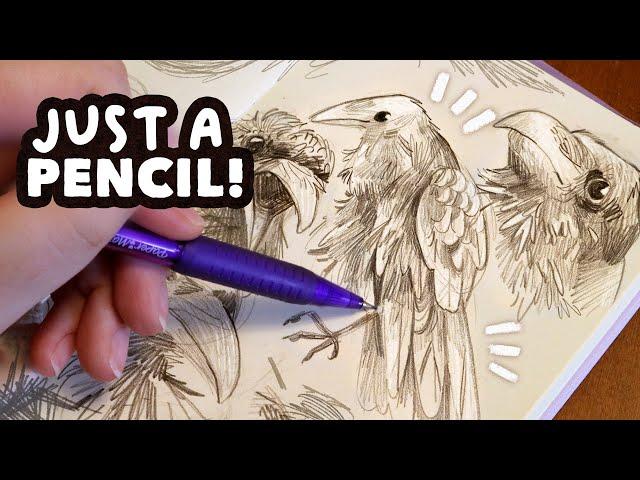 Sketching crows with only a pencil (filling my sketchbook!)