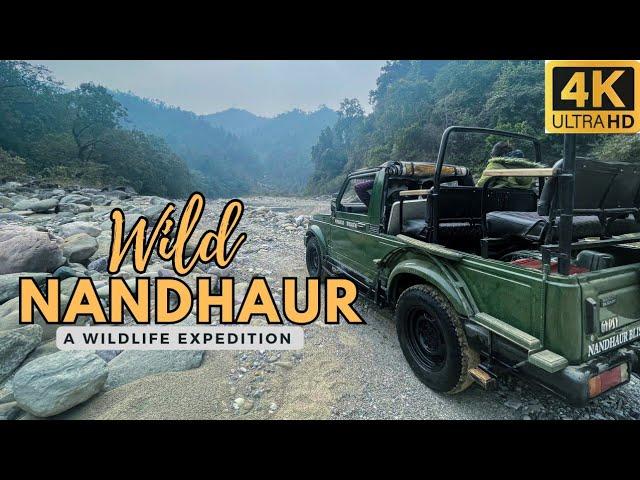 Extreme adventure and Wildlife exploration at Nandhaur Wildlife Sanctuary