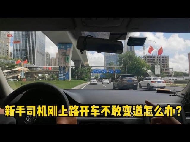 新手司机刚上路开车不敢变道怎么办？老司机陪驾视角讲解开车知识