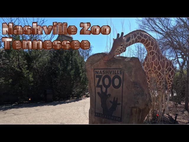 Our visit to the Nashville Zoo, Tennessee