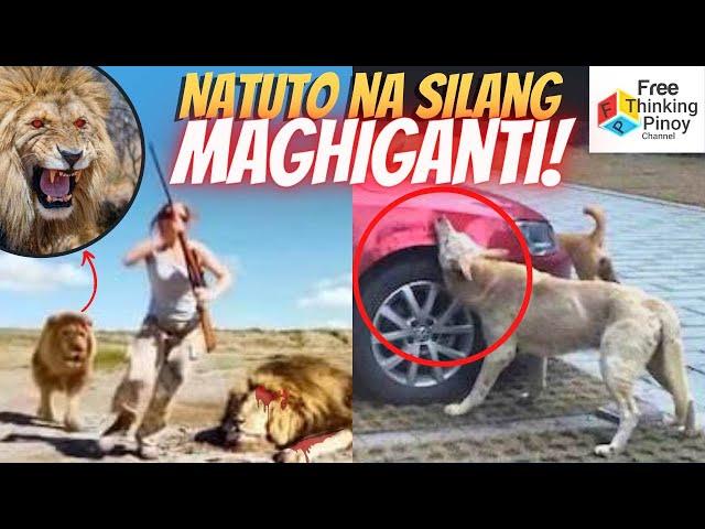 SINIRA NG ASO ANG KOTSE BILANG GANTI | 10 Stories of Animal Revenge