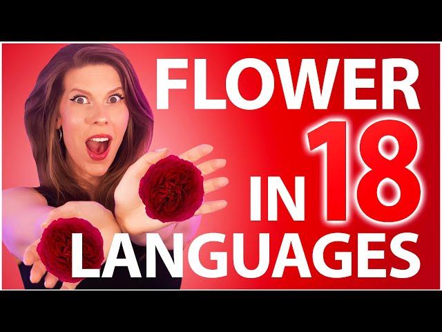 FLOWER 꽃 - Jisoo / 1 GIRL 18 LANGUAGES (Multi-Language cover by Eline Vera)